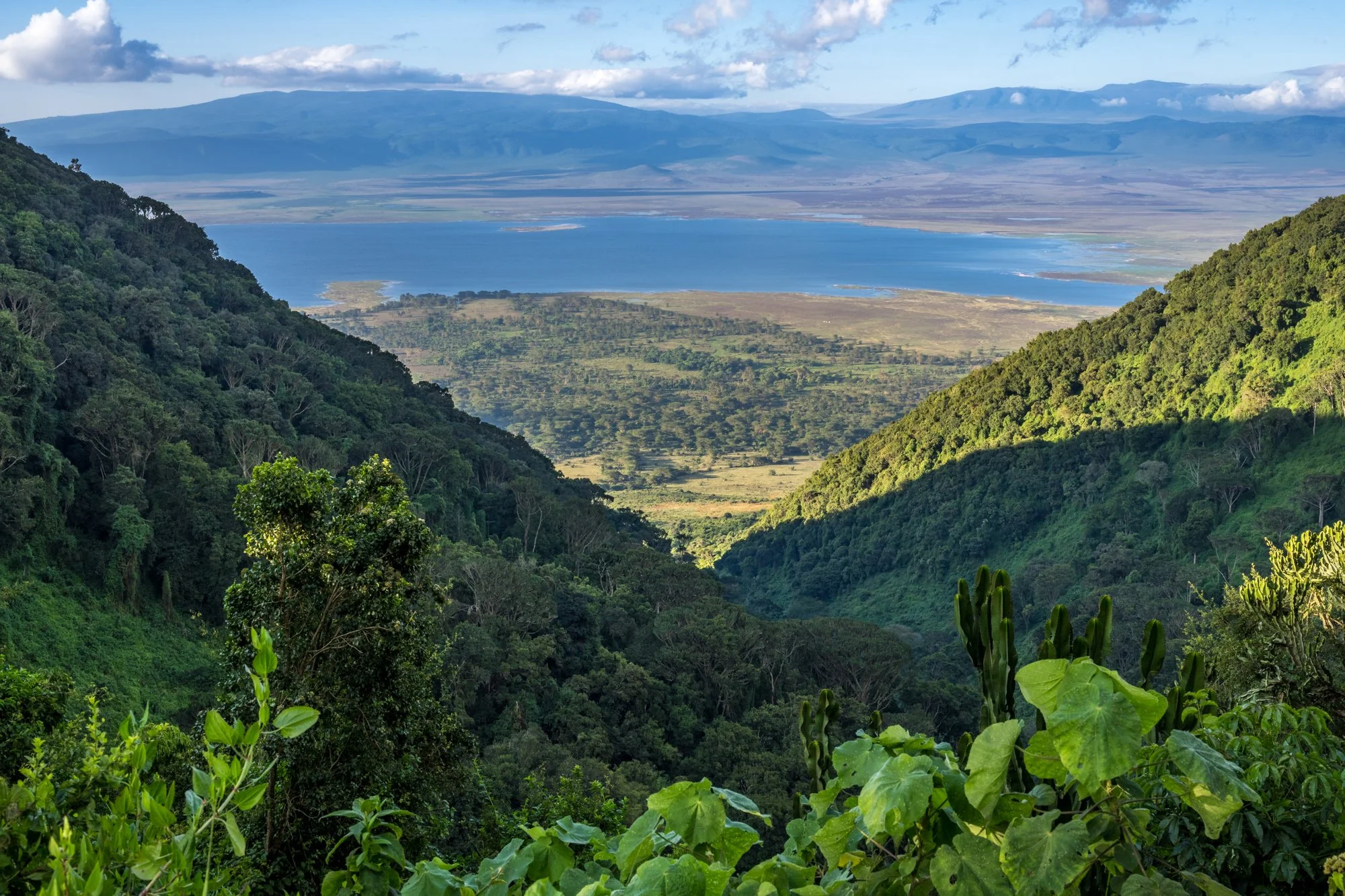 Ngorongoro Crater