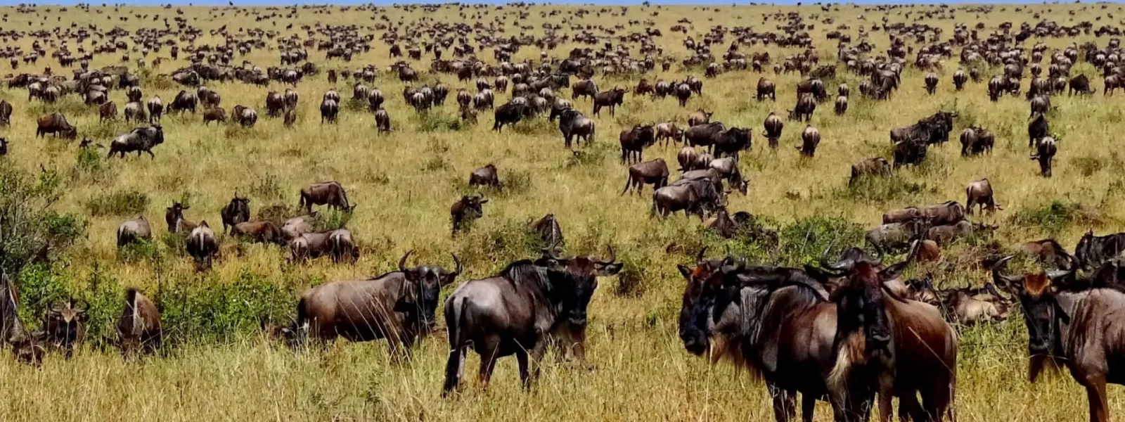 Serengeti National Park
